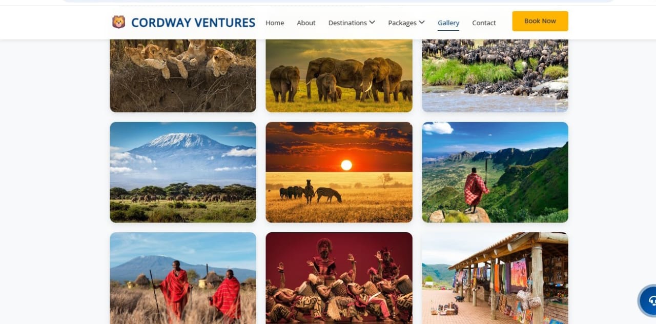 Tourism Management System Dashboard